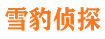 武平市私人调查